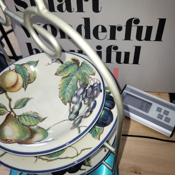 PIER 1 MACINTOSH Earthenware Angleterre Fruit Round Dinner Plate and stand home - Picture 3 of 16